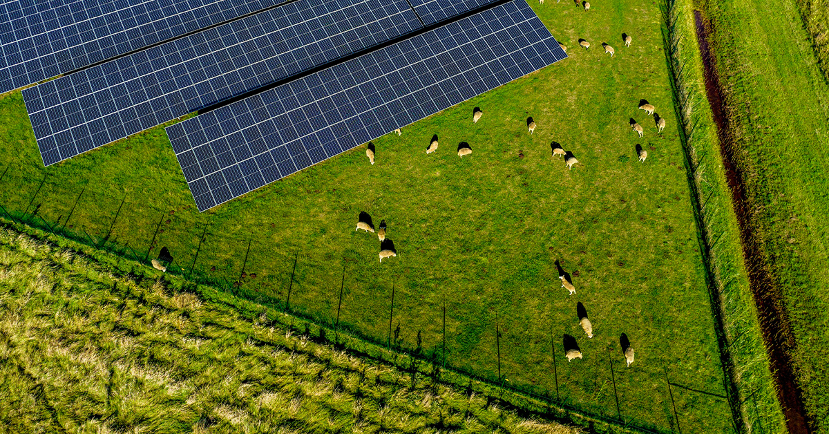 Rentech Highlights Long Term Value of Solar Energy for Farmers - Rentech
